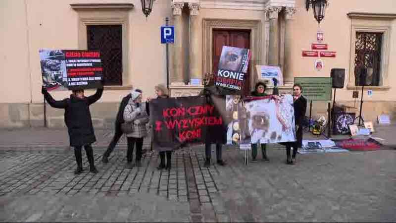 Batalia o konie w Krakowie. Aktywiści protestują, dorożkarze czują się prześladowani