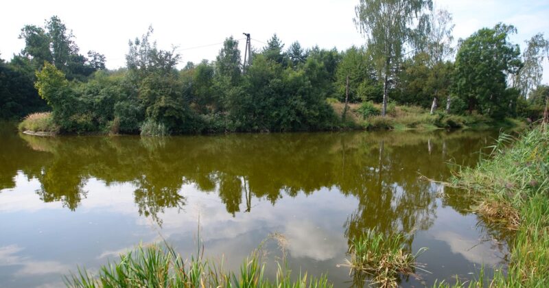 Pilny komunikat dla mieszkańców Śląska. Wojewoda wydał zakaz korzystania z rzeki
