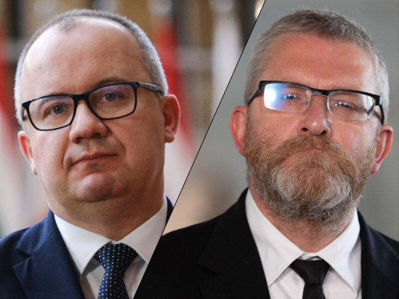 Zarzuty dla Brauna. Bodnar o „ekscesach” polityka