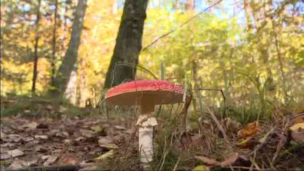 Głosowanie ws. immunitetu i aresztowania Ziobry. Jest decyzja Sejmu