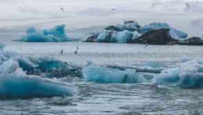 Odkryli miejsce z najgorszych koszmarów. Nie czytaj, jeśli masz słabe nerwy