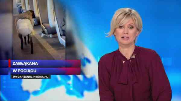 System Merops będzie chronił niebo nad Polską. Nowe informacje Polsat News